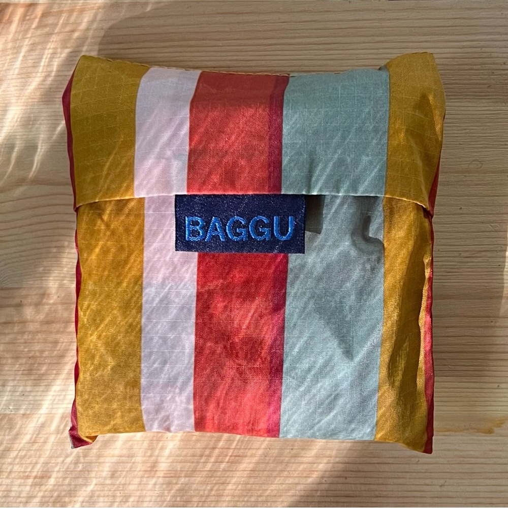 Baggu X Madewell Standard Stripe